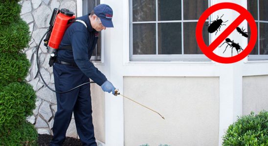Doğanhisar Karınca İlaçlama böcek ilaçlama ve haşere kontrolü — ilaclama-tr.com